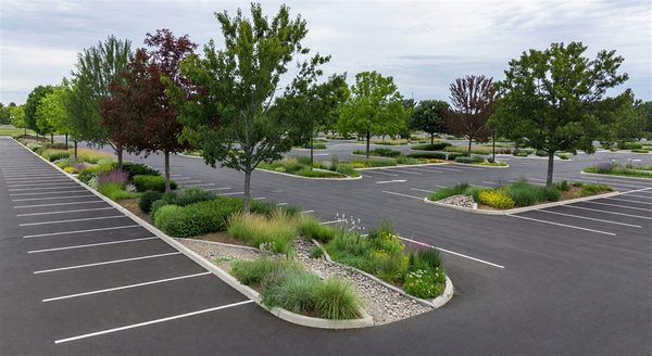 Parking lot with tree islands and bioswale landscaping between parking bays